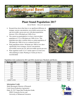 Plant Stand Population