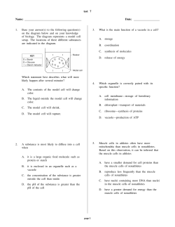 test 7