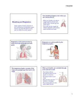 Breathing and Respiration