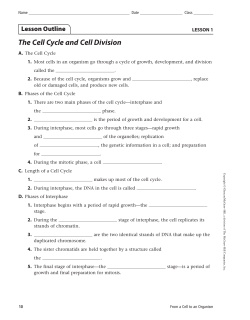 3-1 outline cell cycle and division