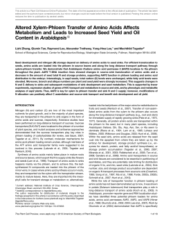 Altered Xylem-Phloem Transfer of Amino Acids