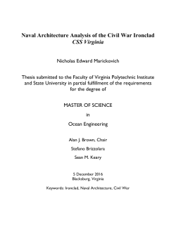 Marickovich_NE_T_2017 - VTechWorks