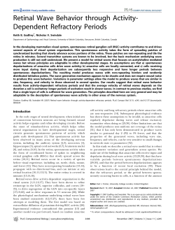 Retinal Wave Behavior through Activity
