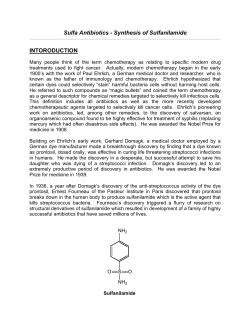 Sulfa Antibiotics - Synthesis of Sulfanilamide INTORODUCTION