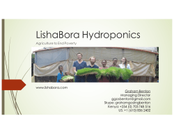 LishaBora Pitch Deck v4.0