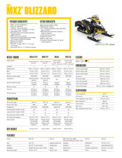 mxz&reg; blizzard - Ski-Doo
