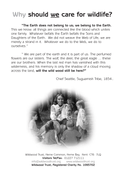 guide - Wildwood Trust