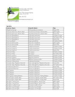 Common Name - Tennessee Naturescapes