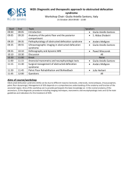 PDF Workshop handout - International Continence Society