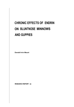 chronic effects of endrin on bluntnose minnows and guppies