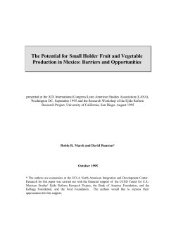 The Potential for Small Holder Fruit and Vegetable