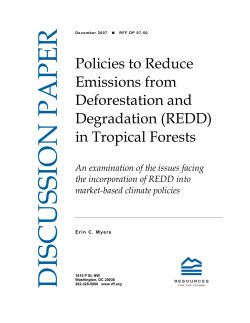 Policies to Reduce Emissions from Deforestation and Degradation