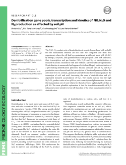 Denitrification gene pools, transcription and kinetics of NO, N2O and