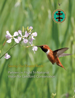 Saving Our Shared Birds:Partners in Flight Tri