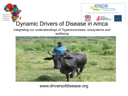 Dynamic Drivers of Disease in Africa