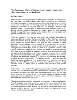 The Causes and Effects of Mindsets: with special relevance to slave