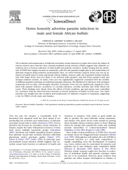 Horns honestly advertise parasite infection in male