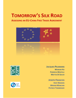 Tomorrow`s Silk Road: Assessing an EU