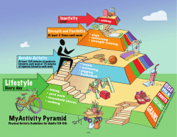 Adult My Activity Pyramid