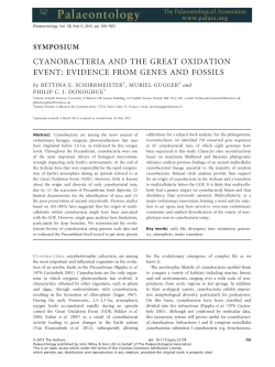 Cyanobacteria and the Great Oxidation Event: evidence from genes