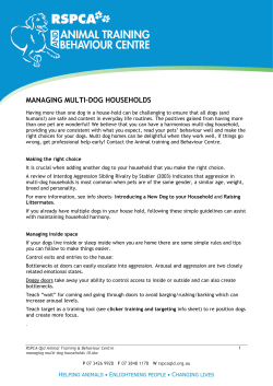 managing multi-dog households