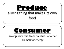 a living thing that makes its own food