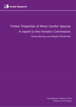 Timber Properties of Minor Conifer Species