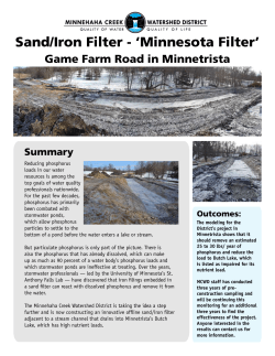 Sand/Iron Filter - `Minnesota Filter`
