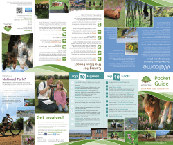 New Forest Pocket Guide web version 2013