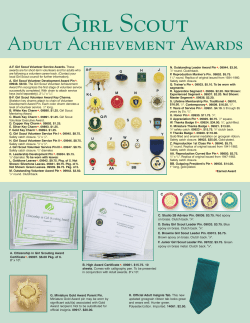 Adult Uniform Insignia Achievement Awards