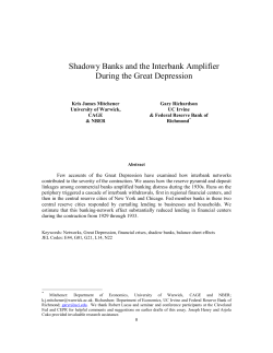 Shadowy Banks and the Interbank Amplifier During the Great
