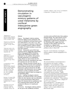 Demonstrating circulation in vasculogenic mimicry patterns