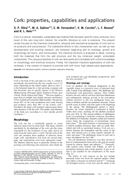 Cork: properties, capabilities and applications