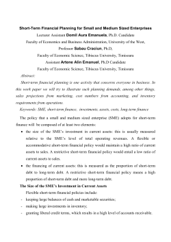 Short-Term Financial Planning for Small and Medium Sized