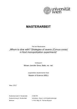 Food monopolization experiments in juvenile ravens - E