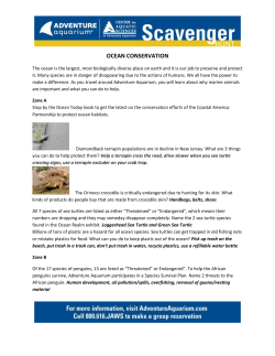 Scavenger Hunt Answer Key - Center for Aquatic Sciences