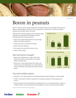 Boron in peanuts