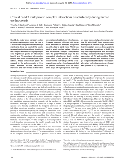 Critical band 3 multiprotein complex interactions