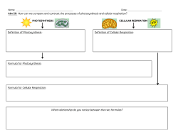 Aim 20: How can we compare and contrast the processes of