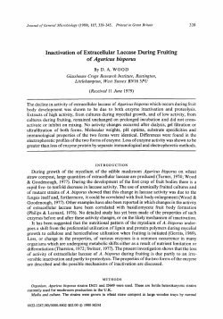 Inactivation of Extracellular Laccase During Fruiting