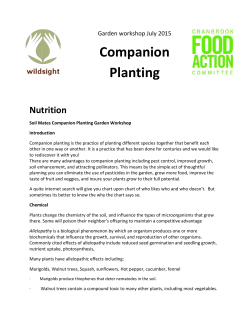 Companion Planting