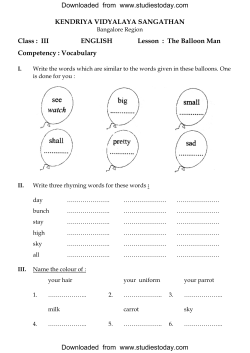 CBSE Class 3 English Practice Worksheets (33)