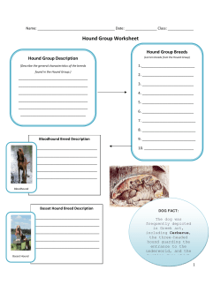 Hound Group Worksheet