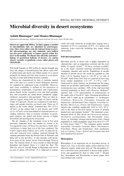 Microbial diversity in desert ecosystems