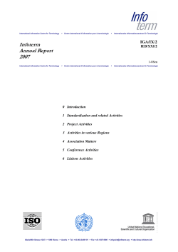 Infoterm Annual Report 2007