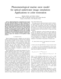 Phenomenological marine snow model for optical underwater image