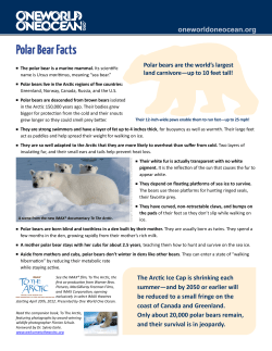 Polar Bear Facts - One World One Ocean
