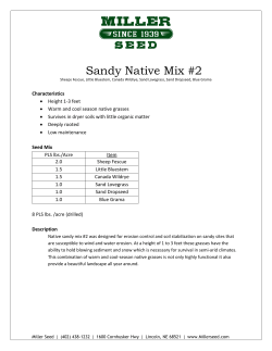 Sandy Native Mix #2 - Miller Seed Company
