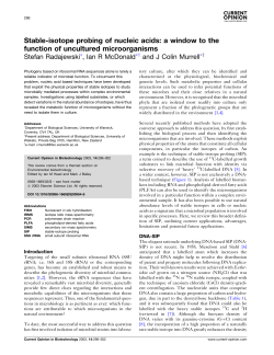Stable-isotope probing of nucleic acids: a window to the function of