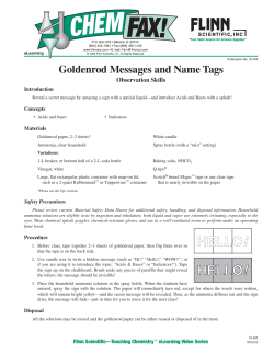 91405 Goldenrod Messages and Name Tags-Rev